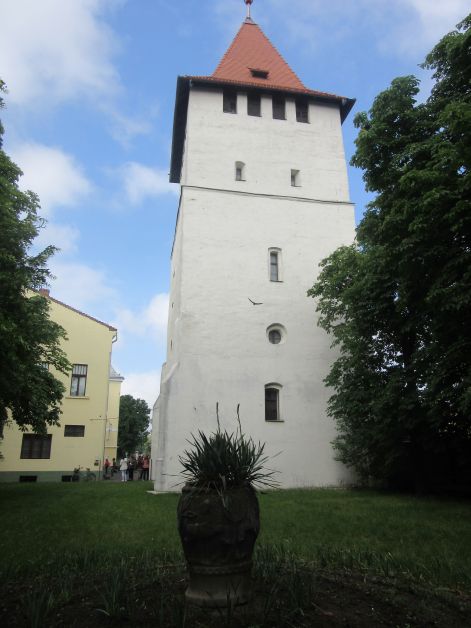 115.jpg