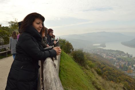 dsc_0916.jpg