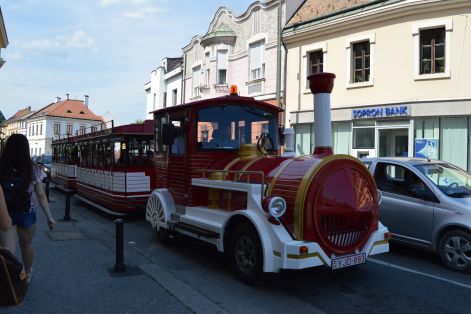 dsc_0966.jpg